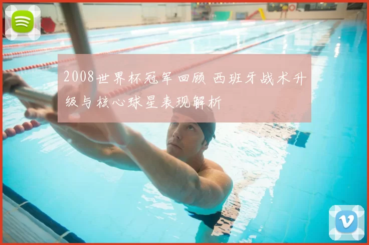 2008世界杯冠军回顾 西班牙战术升级与核心球星表现解析