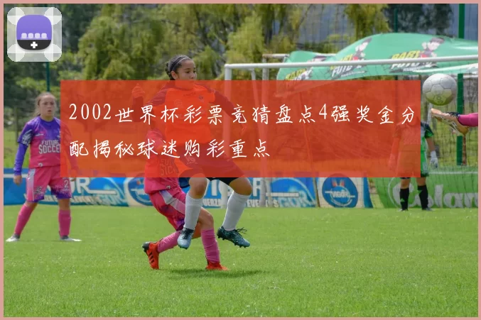 2002世界杯彩票竞猜盘点4强奖金分配揭秘球迷购彩重点