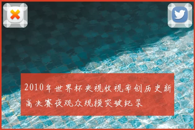 2010年世界杯央视收视率创历史新高决赛夜观众规模突破纪录
